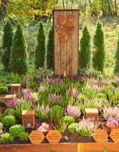 B I E N E N H A I N - eine besondere Gemeinschaftsgrabanlage